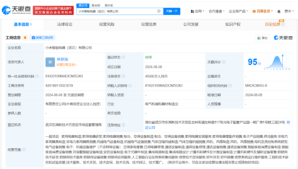 小米在武汉成立智能电器公司 注册资本4.5亿的战略布局与信息咨询服务新机遇